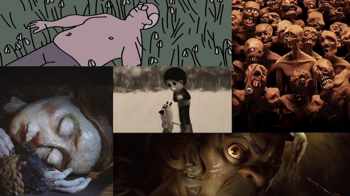 Shorts Predictions 5.jpg