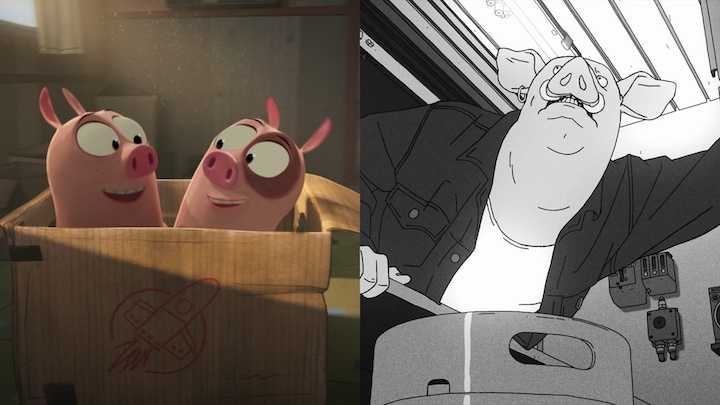 Shorts Predictions 3.jpg